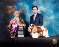 Cavalier King Charles Spaniel #9 Fri 2 Judge DEBORAH BARRETT