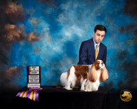Cavalier King Charles Spaniel #9 Fri BISS Judge SUSAN SHIDLER