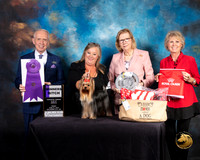 Yorkshire Terrier #54 Fri Judge Fred Bassett