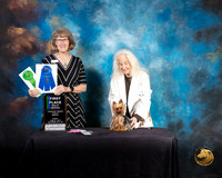 Yorkshire Terrier #R11 Fri RNovA Judge Nancy Simmons