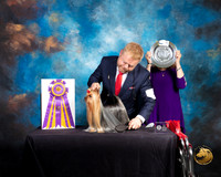 Yorkshire Terrier #27 Fri 2 BISS Judge Fred Bassett