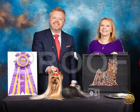 Yorkshire Terrier #27 Fri 2 BISS Judge Fred Bassett_SSR_9631-©ToyOKC2019-HR3