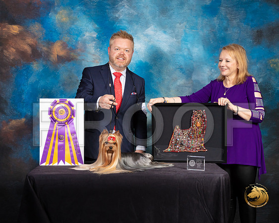Yorkshire Terrier #27 Fri 2 BISS Judge Fred Bassett_SSR_9638-©ToyOKC2019-HR3