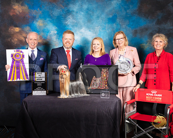 Yorkshire Terrier #27 Fri 2 BISS Judge Fred Bassett_SSR_9640-©ToyOKC2019-HR3