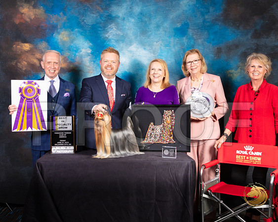Yorkshire Terrier #27 Fri 2 BISS Judge Fred Bassett_SSR_9641-©ToyOKC2019-HR3