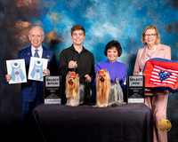 Yorkshire Terrier #56 &? SB SD Judge Fred Bassett