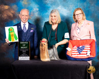 Yorkshire Terrier #7 Fri 2 AOM Judge Fred Bassett