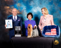 Yorkshire Terrier #9 Fri 2 SD Judge Fred Bassett