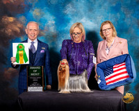 Yorkshire Terrier #97 Fri 2 Judge Fred Bassett