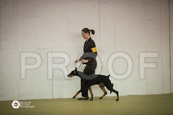 Dobe-7438-HtoJan14-HR