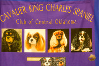 Cavalier King Charles awards Fri