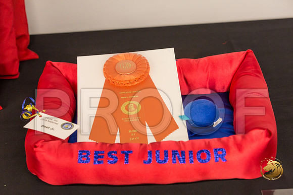 Vendors_JJJ_7347-OKCToy2019-HR3