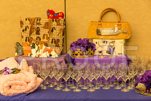 Cavalier King Charles awards Fri_JJJ_7330-OKCToy2019-HR3