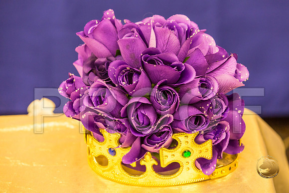 Cavalier King Charles awards Fri_JJJ_7332-OKCToy2019-HR3