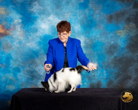 Papillon #7 Sat Mary Hakel Ranger