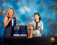 Yorkshire Terrier #61 Sat BOW BOH Judge Debra Ferguson Jones