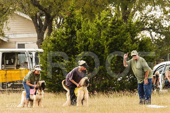 _MJ_5692-AfgBeltonOct2014-HR3