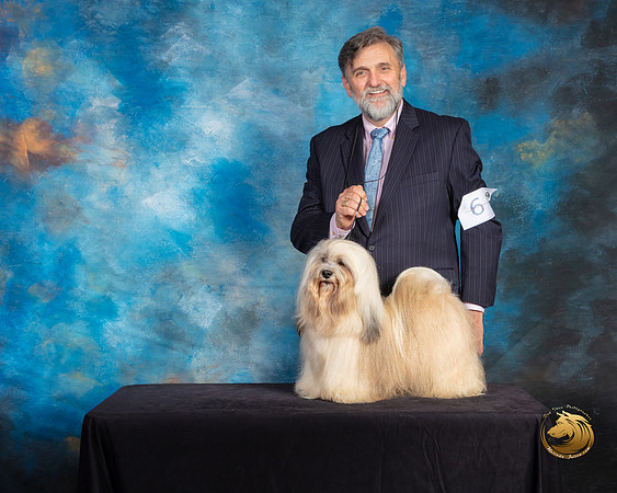 Havanese #9 Sat G2 Judge Debra Ferguson Jones Reshoot_SSR_9865-©ToyOKC2019-HR3