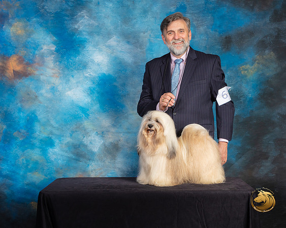 Havanese #9 Sat G2 Judge Debra Ferguson Jones Reshoot_SSR_9866-©ToyOKC2019-HR3