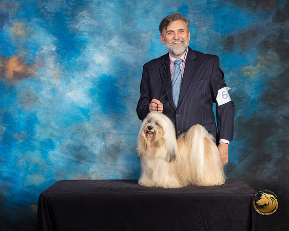 Havanese #9 Sat G2 Judge Debra Ferguson Jones Reshoot_SSR_9867-©ToyOKC2019-HR3