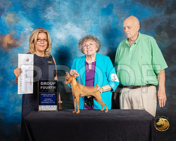Miniature Pinscher #17 Sat G4 Judge Debra Ferguson Jones_SSR_9839-©ToyOKC2019-HR3