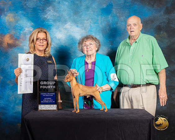 Miniature Pinscher #17 Sat G4 Judge Debra Ferguson Jones_SSR_9841-©ToyOKC2019-HR3