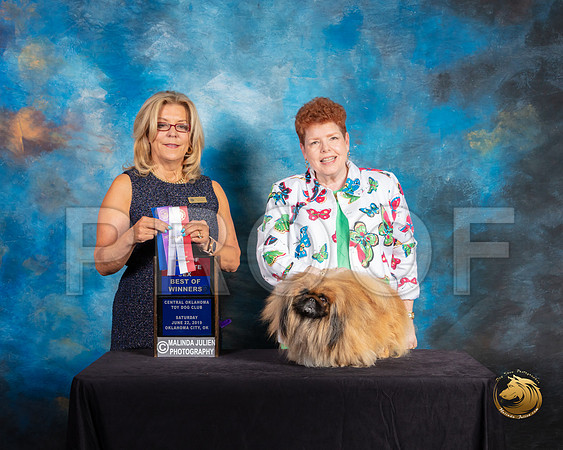 Pekingese #15 Sat BOS Judge Debra Ferguson Jones_SSR_9858-©ToyOKC2019-HR3