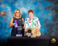Pekingese #6 Sat WD Judge Debra Ferguson Jones