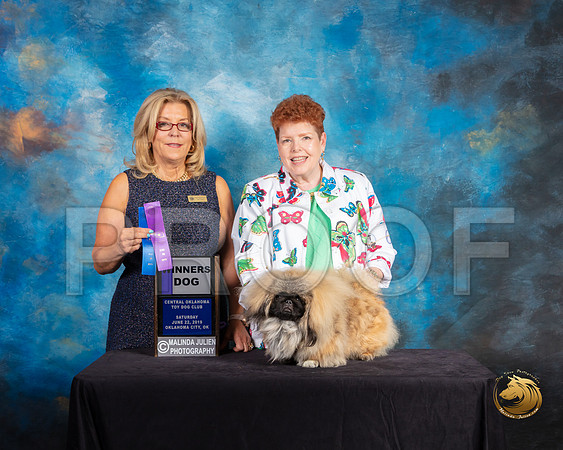 Pekingese #6 Sat WD Judge Debra Ferguson Jones_SSR_9851-©ToyOKC2019-HR3