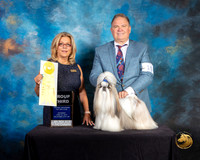 Shih Tzu #19 Sat G3 Judge Debra Ferguson Jones
