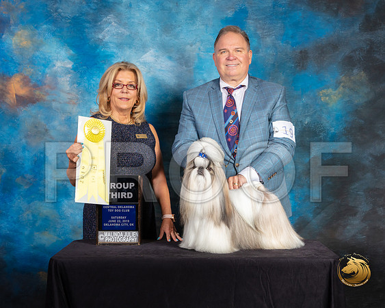 Shih Tzu #19 Sat G3 Judge Debra Ferguson Jones_SSR_9854-©ToyOKC2019-HR3