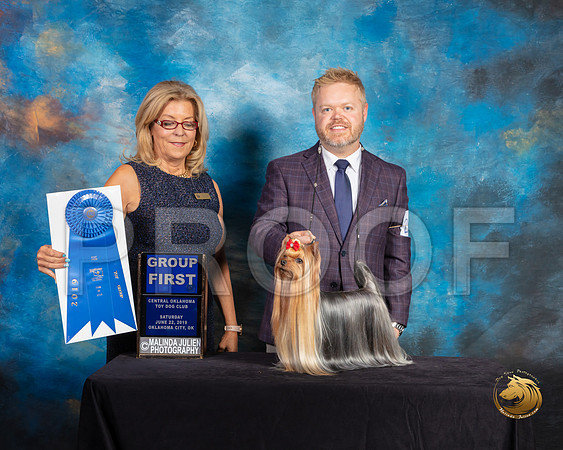 Yorkshire Terrier #27 Sat G1 Judge Debra Ferguson Jones_SSR_9835-©ToyOKC2019-HR3