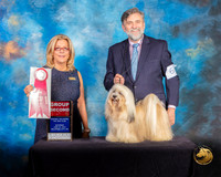 Havanese #9 Sat G2 Judge Debra Ferguson Jones Reshoot