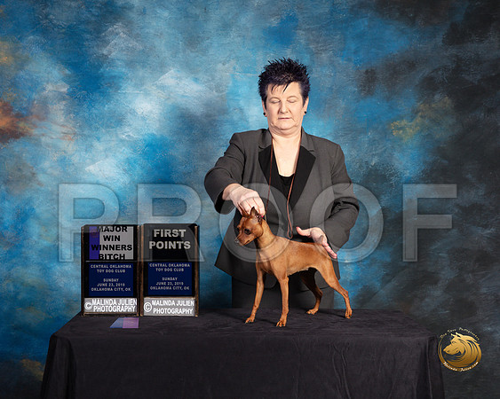 Miniature Pinscher #8 Sun WB Judge Debra Ferguson Jones_SSR_9957-©ToyOKC2019-HR3