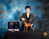 Miniature Pinscher #8 Sun WB Judge Debra Ferguson Jones