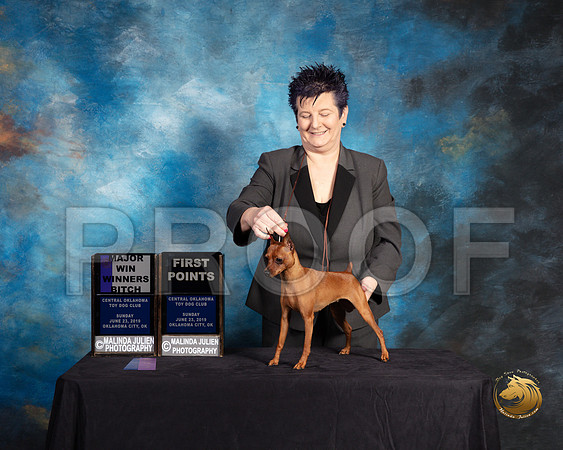 Miniature Pinscher #8 Sun WB Judge Debra Ferguson Jones_SSR_9955-©ToyOKC2019-HR3