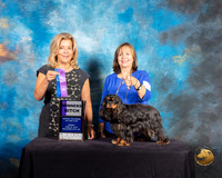 Cavalier King Charles Spaniel #16 Sun WBJudge Debra Ferguson Jones
