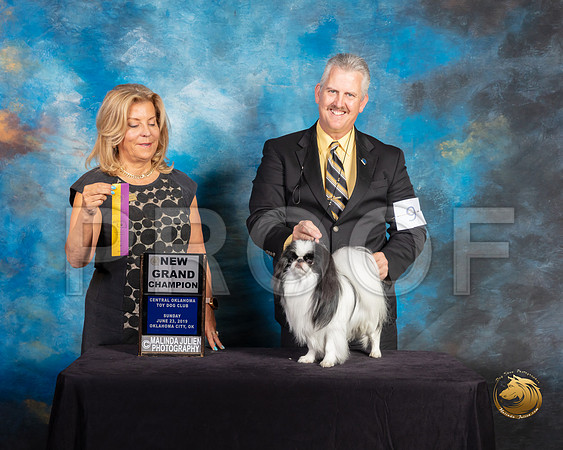 Japanese Chin #9 Sun BOB GrCh Judge Debra Ferguson Jones_SSR_0004-©ToyOKC2019-HR3