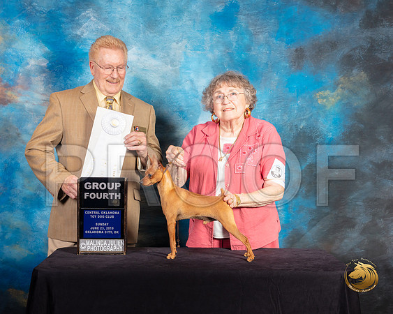 Miniature Pinscher #17 Sun G4 Judge Dana Plonkey_SSR_0021-©ToyOKC2019-HR3