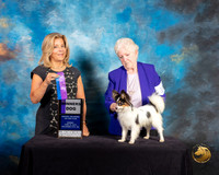 Papillon #11 Sun SD Judge Debra Ferguson Jones