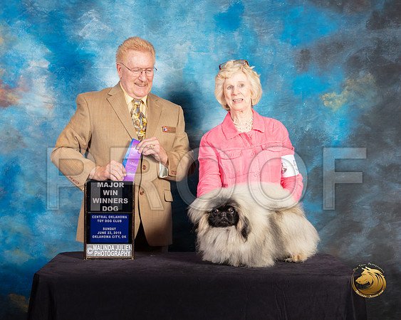 Pekingese #5 Sun WD Judge Dana Plonkey_SSR_0008-©ToyOKC2019-HR3