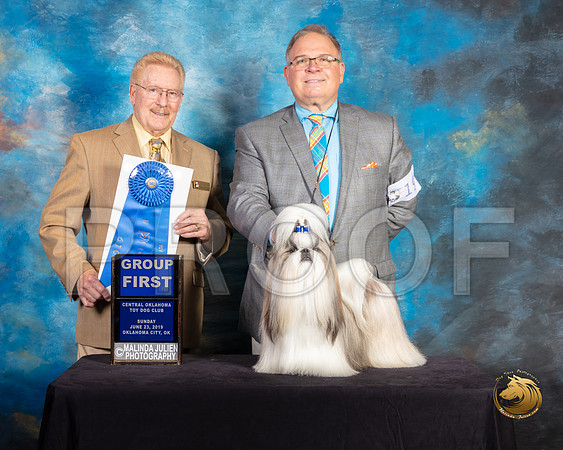 Shih Tzu #19 Sun G1 Judge Dana Plonkey_SSR_0011-©ToyOKC2019-HR3