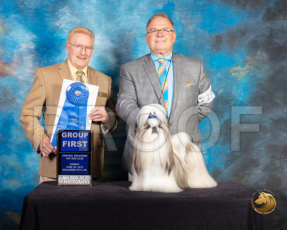 Shih Tzu #19 Sun G1 Judge Dana Plonkey_SSR_0012-©ToyOKC2019-HR3