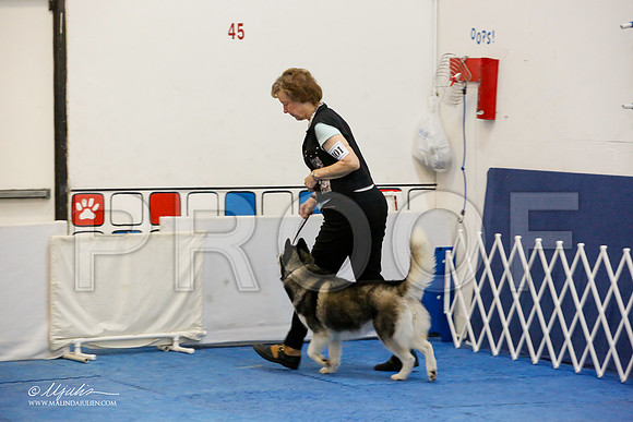 _M3_7370-AddisonHuskyMar2015-HR3