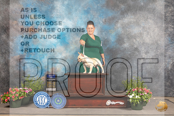 French Bulldog #21 Thur WDBOW Judge Jan Paulk r_MJ_0809_SA_2022_HR3