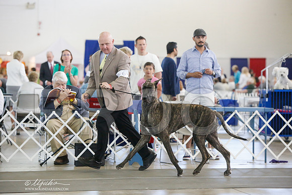 _JJ_0203-DallasJul2014-HR3