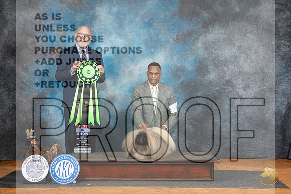 Pekingese #17 Fri BIS Judge Tim Robbins__JP_7480_MARSHALL_2024_HR3