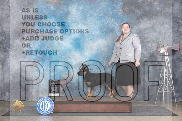 Bohemian Shepherd #5 Sat PBIS Judge Jon Cole__JP_5691_Amarillo_2024_HR3