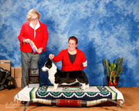 Corgi Cardigan #20 Sat BOB