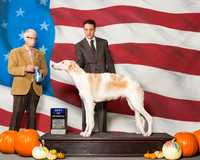 Borzois #9 Sun BOW Durdin Jean W Judge Mr Robert R Frost